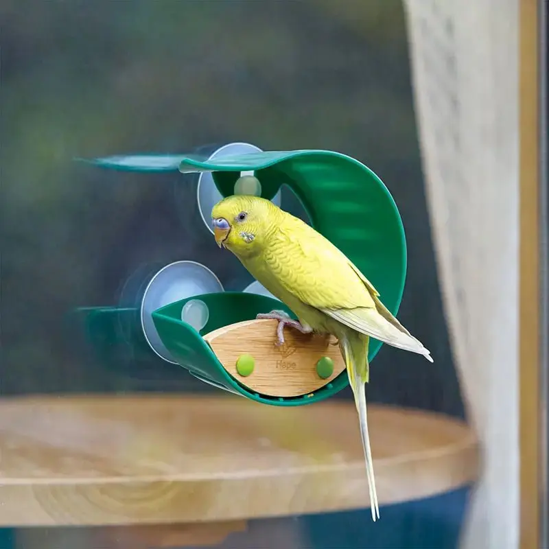 Hape Window Bird Feeder - Image 3